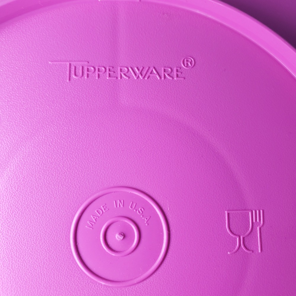 VTG Tupperware Divided Serving‎ Tray Platter Plate Snack Keeper Container